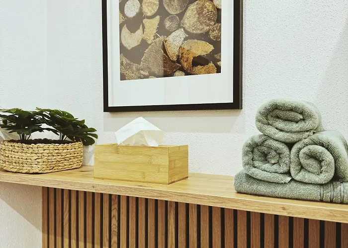 Panoramablick 公寓 巴特奥塞